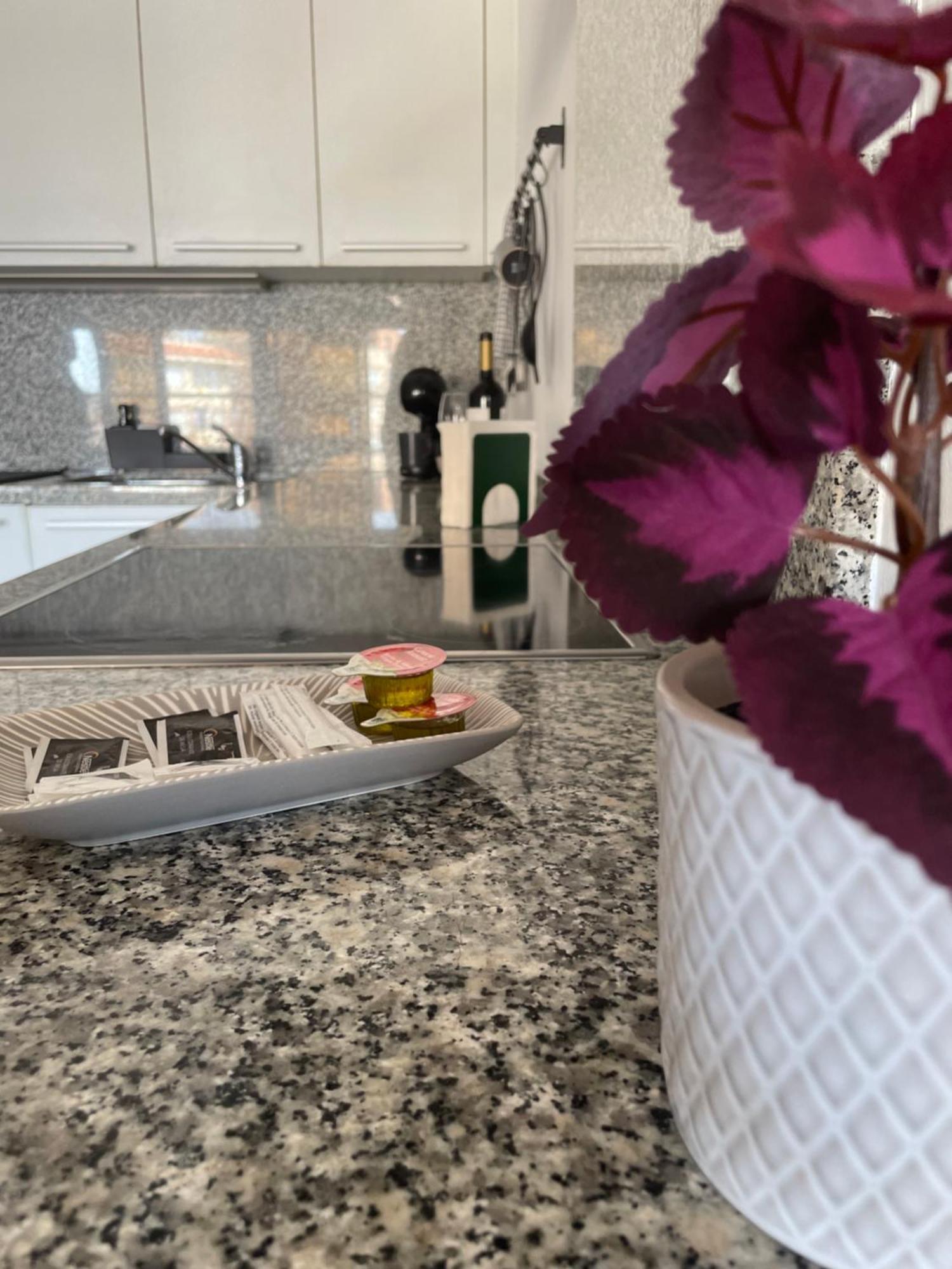 Apartamento Parque Real Castellon de la Plana Ngoại thất bức ảnh
